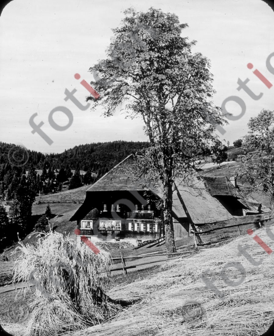 Schwarzwaldhaus | Black Forest House - Foto foticon-simon-127-005-sw.jpg | foticon.de - Bilddatenbank für Motive aus Geschichte und Kultur